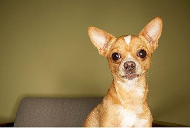 《公民沉睡者2》新预告公开 宇宙探索RPG